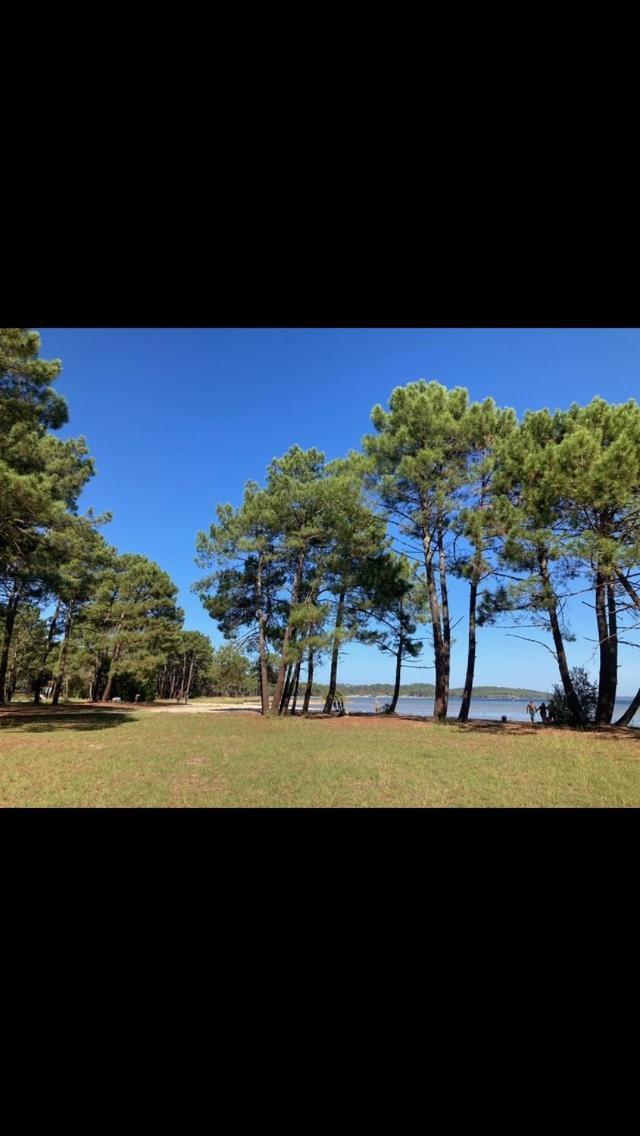 Villa Dune Biscarrosse Kültér fotó